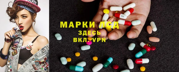 дмт Верея