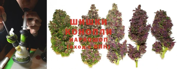 дмт Верея