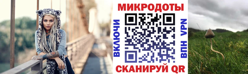 hydra ссылки  Нарьян-Мар  Галлюциногенные грибы Psilocybe 